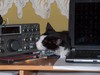 SP2LNW Image